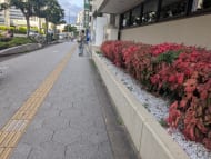 v20250916150804/fresh/building/J00100446967_2