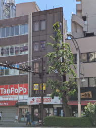 v20250917150804/fresh/building/J00100359738_6