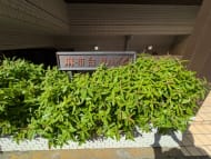 v20250917150804/fresh/building/J00100364817_7