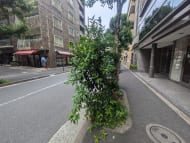 v20250917150804/fresh/building/J00100383757_2