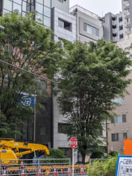 v20250918150711/fresh/building/J00100374422_5
