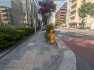 v20250918150711/fresh/building/J00100409858_9