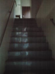 v20250919150704/fresh/building/J00100375219_4