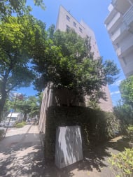v20250920150703/fresh/building/J00100384218_7