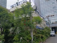 v20250924150708/fresh/building/J00100496528_1