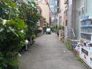 v20250924150708/fresh/building/J00100496528_9