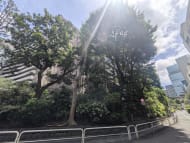 v20250930150908/fresh/building/J00100417507_6