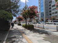 v20250930150908/fresh/building/J00100611235_2