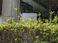 v20251001150706/fresh/building/J00100357316_10