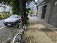 v20251001150706/fresh/building/J00100378575_11