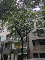 v20251003033705/fresh/building/J00100374787_6