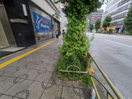 v20251008150720/fresh/building/J00100373905_2