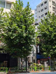 v20251008150721/fresh/building/J00100467064_5