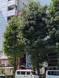 v20251008150721/fresh/building/J00100608547_6