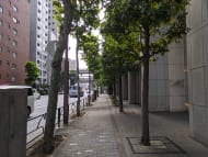 v20251011150702/fresh/building/J00100369408_14