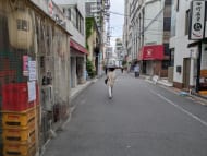v20251012150813/fresh/building/J00100436187_2