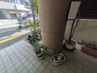 v20251013150705/fresh/building/J00100376718_11