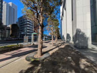 v20251020150704/fresh/building/J00100401556_17