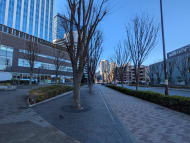 v20251020150704/fresh/building/J00100401556_21