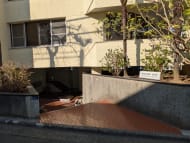 v20251022150707/fresh/building/J00100383794_8