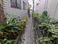 v20251123150654/fresh/building/J00100414257_13
