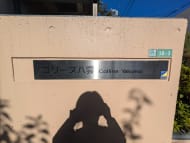 v20251125150804/fresh/building/J00100395255_12