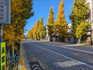 v20260119151022/fresh/building/J00100425374_13