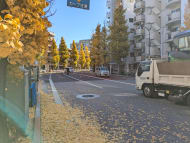 v20260119151022/fresh/building/J00100609314_13