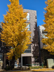 v20260119151022/fresh/building/J00100609314_5