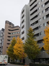 v20260121151013/fresh/building/J00100390043_9