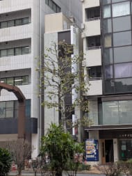 v20260124150645/fresh/building/J00100608580_7