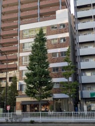 v20260125150707/fresh/building/J00100509773_6