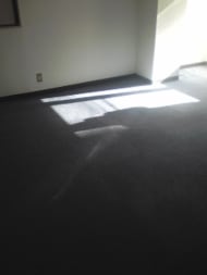 v20260126151127/fresh/building/J00100374599_5
