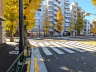 v20260131150803/fresh/building/J00100415921_14