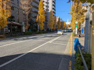 v20260204151012/fresh/building/J00100390129_2