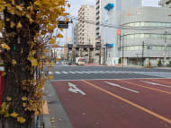 v20260209151136/fresh/building/J00100373153_13