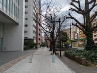v20260210150910/fresh/building/J00100365534_10