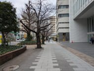 v20260210150910/fresh/building/J00100365534_2