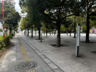 v20260226150804/fresh/building/J00100415433_19