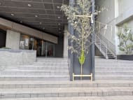 v20260308150643/fresh/building/J00100384658_3