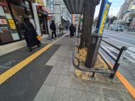 v20260308150643/fresh/building/J00100413241_2