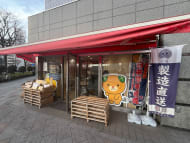 v20260310150810/fresh/building/J00100379793_12