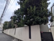 v20260310150810/fresh/building/J00100419596_10