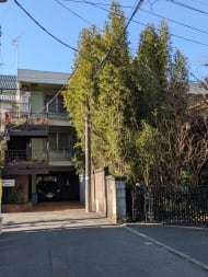 v20260311150757/fresh/building/J00100634993_5