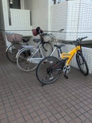 v20260318150758/fresh/building/J00100633979_11