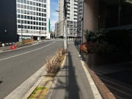 v20260324150759/fresh/building/J00100388781_2