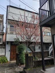 v20260331151546/fresh/building/J00100610184_5