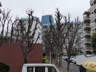 v20260406072300/fresh/building/J00100375711_6