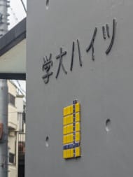 v20260410151005/fresh/building/J00100390461_12