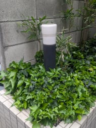 v20260410151005/fresh/building/J00100406178_12